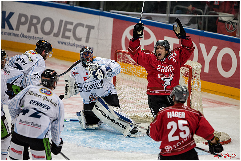 Koelner Haie - Straubing Tigers, 03.10.2016